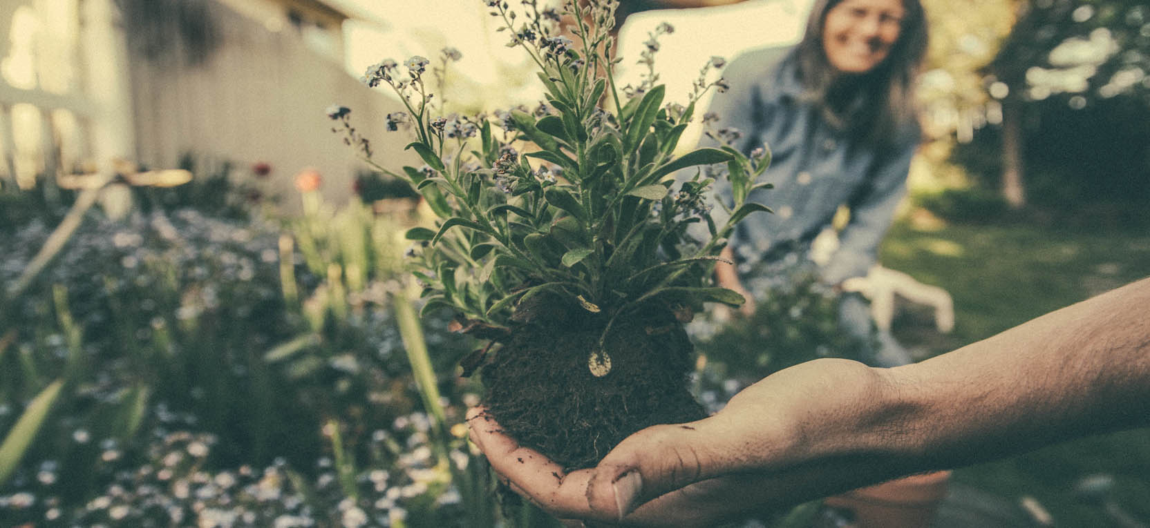 imagens/banner/jardinagem.jpg